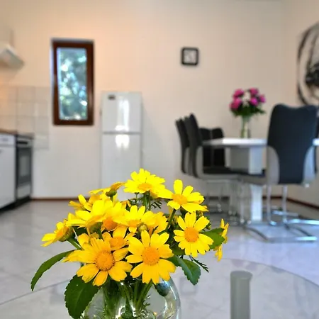 In Appartement Murter